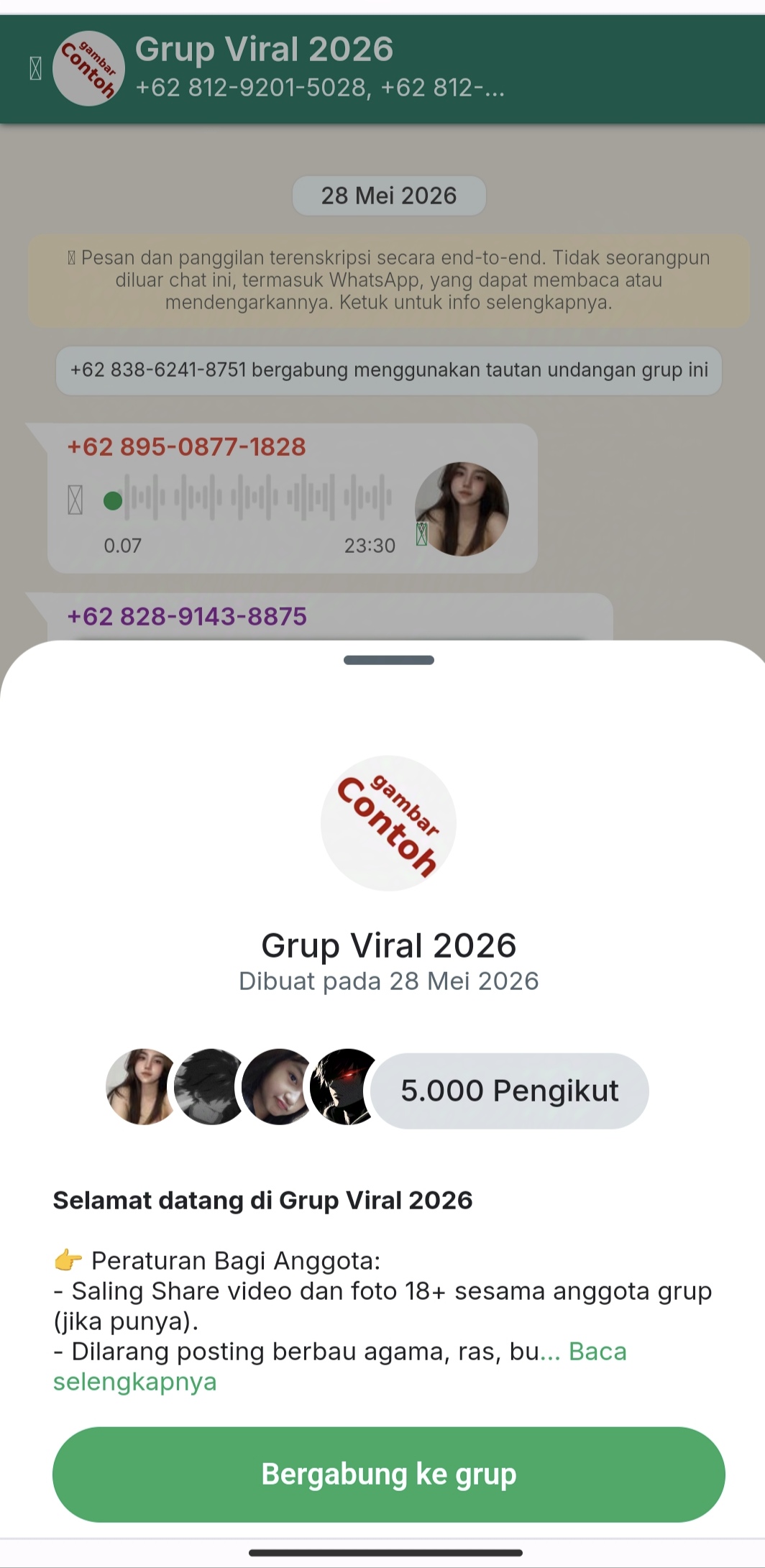 GRUP WA V2